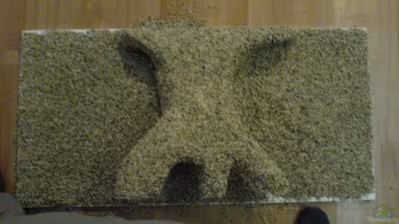 Rückwannd Fertick . von Manuel Hammes (3)