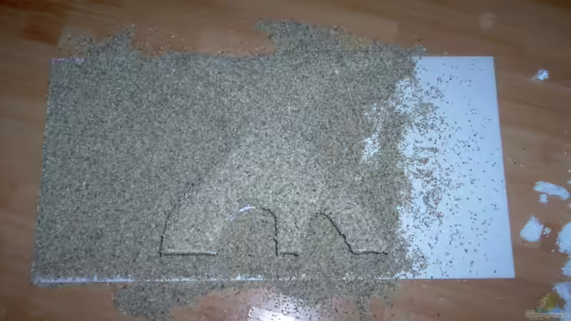 Rückwannd im Bau . von Manuel Hammes (2)