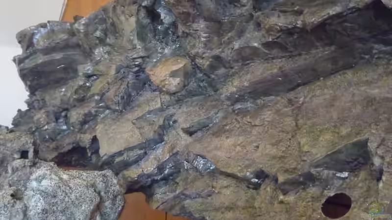 RW mit Epoxid und ??ffnungen für Absaugung und zum durchschwimmen von Frank Wollenburg (19)