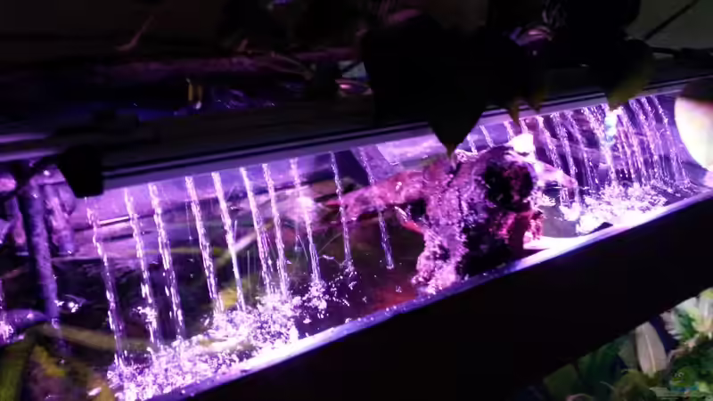 sa4p von djoser (19)