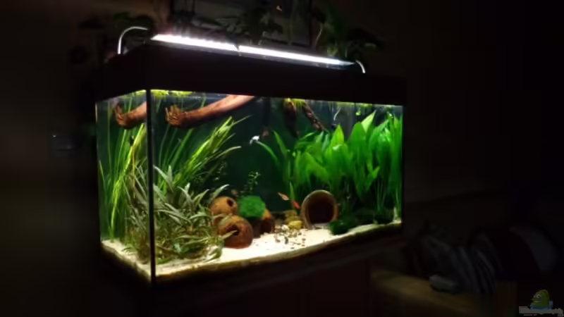 sa4p von djoser (21)