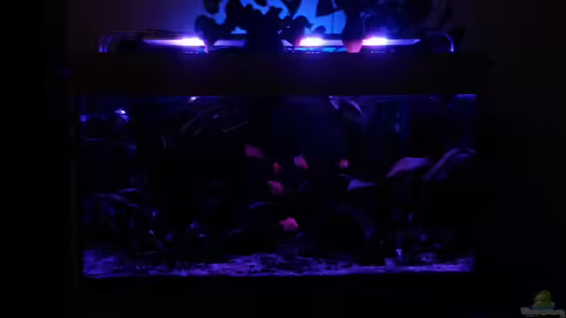 sa4p von djoser (25)