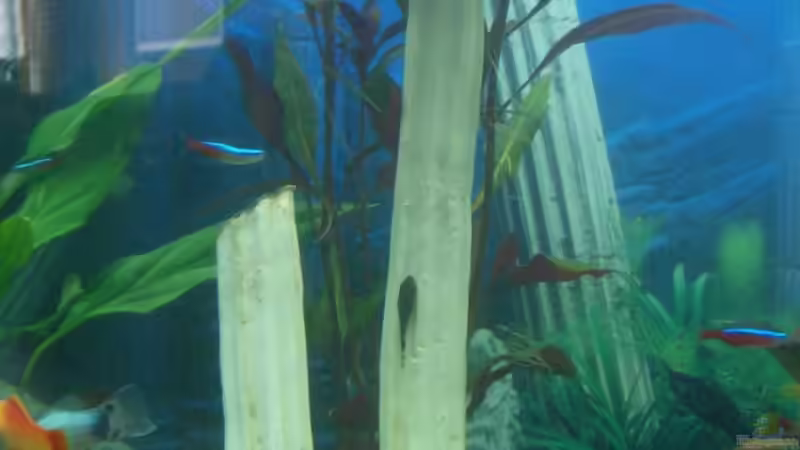 Säule von Patrik Holz (4)