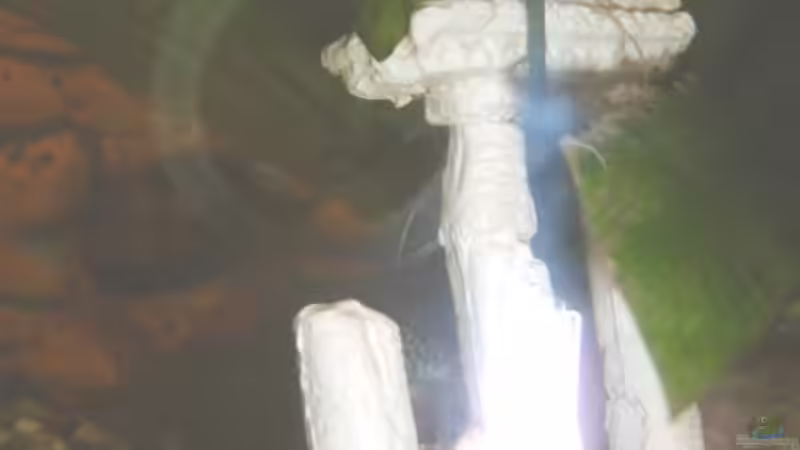 Säulen von Enrico Bergmann (14)