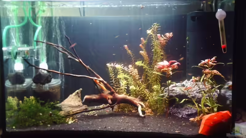 Sah auch schon mal besser aus ^.^