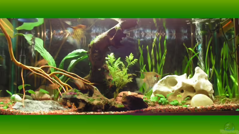 sah mal echt schön aus... sah mal echt schön aus...