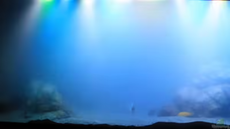 Salz in der Suppe, alle 4 Wochen 2 g pro Liter von Florian Bandhauer (62)