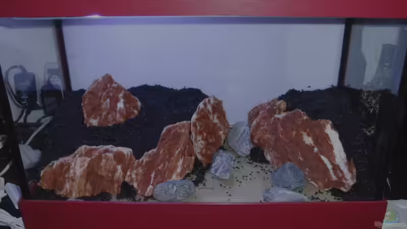 Samuraisteine so platziert, dass es mir gefällt. Die grauen steine sind rein zur von Bjarke (18)