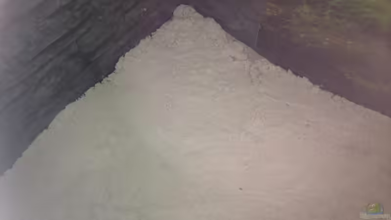 Sand  von parrots-of-fire.de (6)