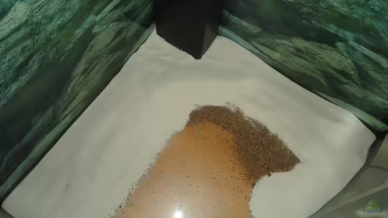 Sand 0,2 - 0,5 mm  24.07.2015 von atom010 (20)