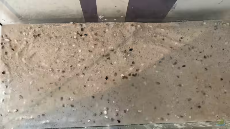 Sand mit Kies gemischt  von Raven887 (22)