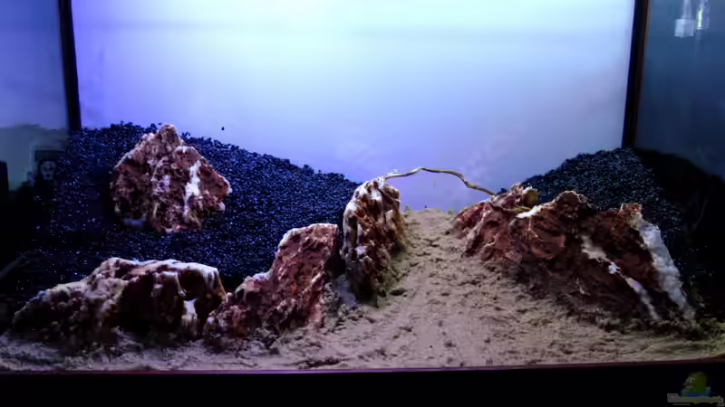 Sand platziert und mit kleinen ??stchen versucht das Scape größer erscheinen zu lassen von Bjarke (19)