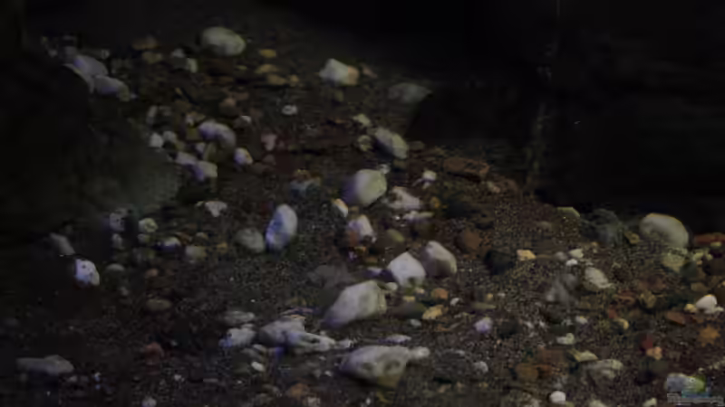 Sand und Kies von Florian Bandhauer (44)