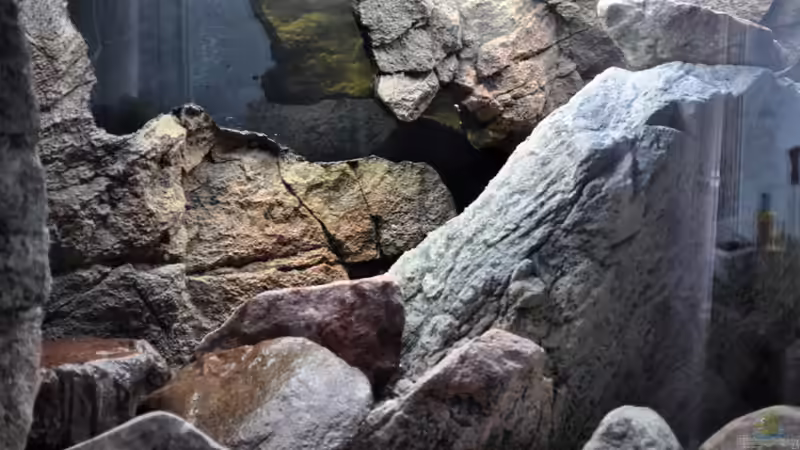 Sand und Steine rein! von Vladi (27)