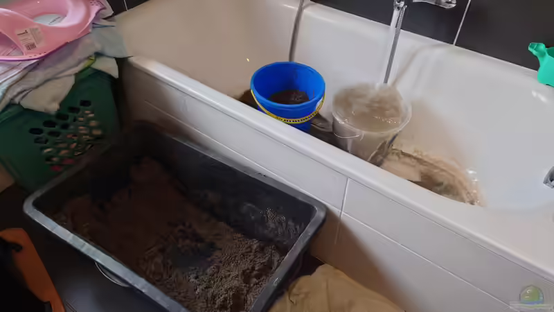 Sand waschen. Ungeliebte Aufgabe  von Stefan von Oettingen (24)