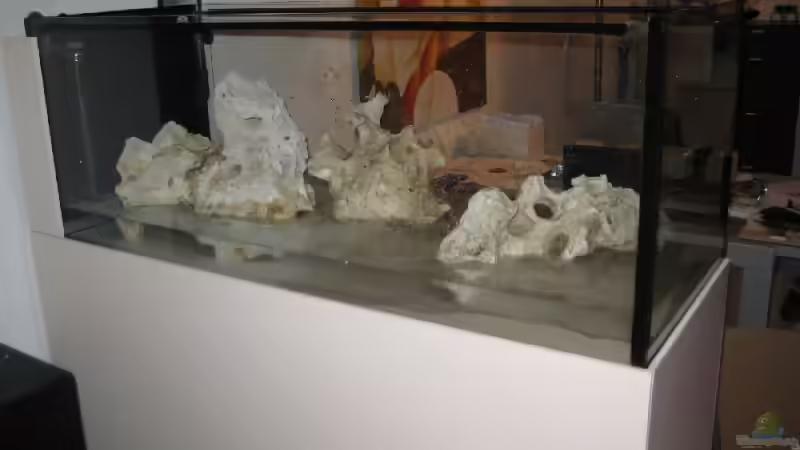 Sand wurde eingefüllt von Meike_R (3)