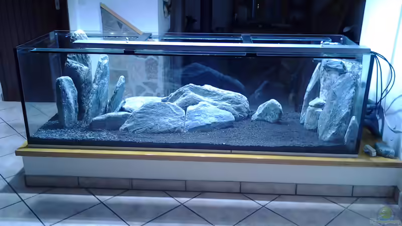 Sand1 von Malawi Duck (4)