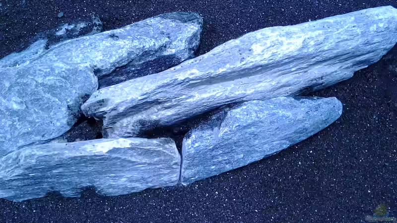 Sand3 von Malawi Duck (6)