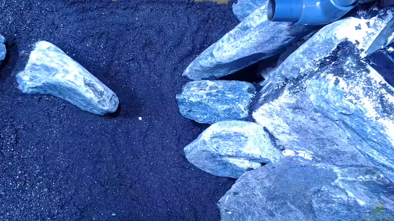 Sand4 von Malawi Duck (7)