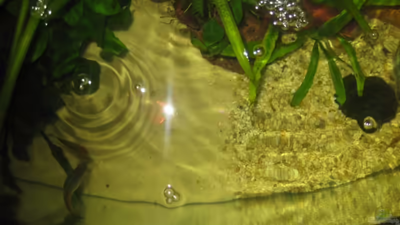 Sand&Kiesbereich von Henning Brinkmann (8)