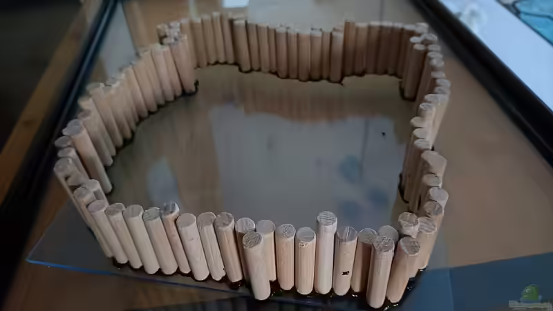 Sandbad von Hamstermaus (4)