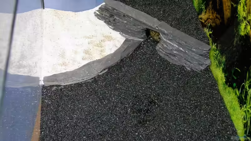 Sandbank  abgegrenzt durch eine Terrassen ebene und rechts eine Selbstgebaute Höhle von bjoern21x (10)