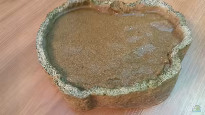 Sandbank für die Schmerlen  von Bea (7)