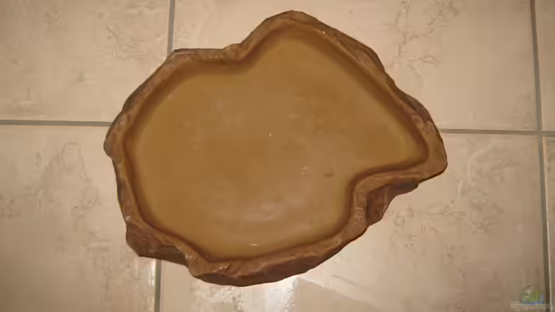 Sandbecken für die welse von Sven Lowbob (18)