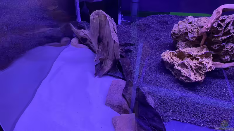 Sandecke  von Ottche (7)