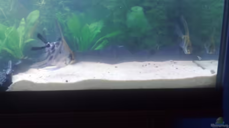 Sandecke von AlexR6 (2)