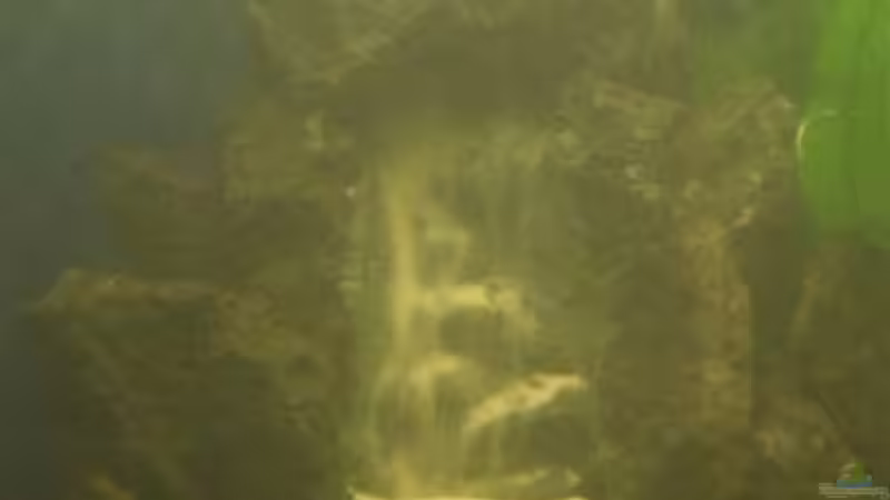 Sandfall - sehr schwer zu bekommen!  von Tamara Brunner (4)