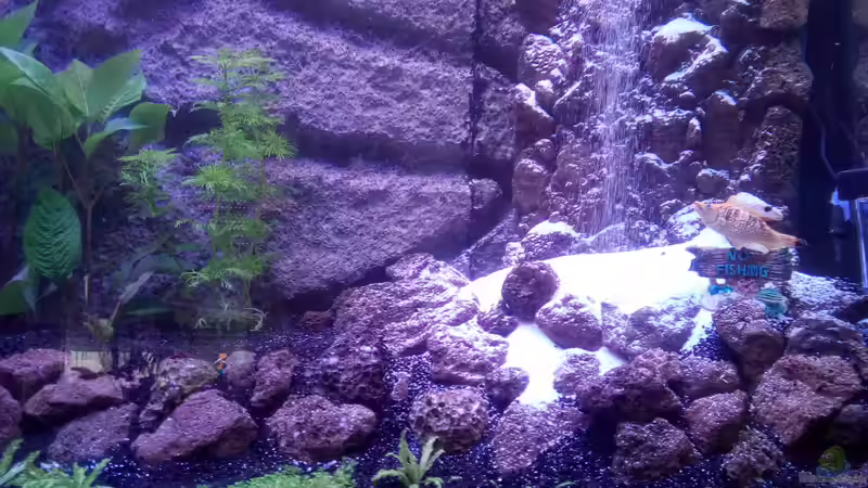 Sandfall mit Fischereiverbot von Josch_TJ (2)