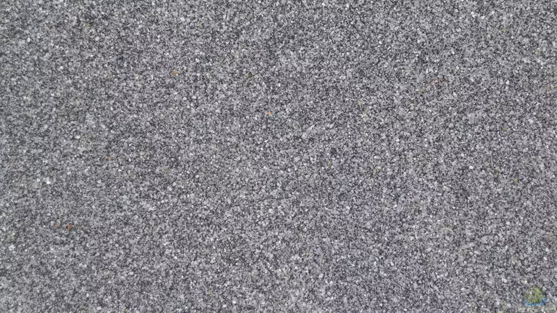 Sandfarbe von DER YBBSTALER (30)