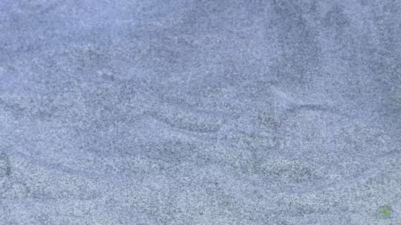 Sandfarbe von tomwu (15)