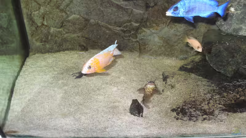 Sandfläche mit Blitzlicht fotografiert von Dr. Manhattan (9)