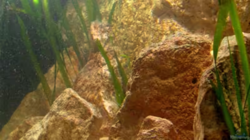 Sandfläche steigt zur Rückwand an von Malawigo (13)