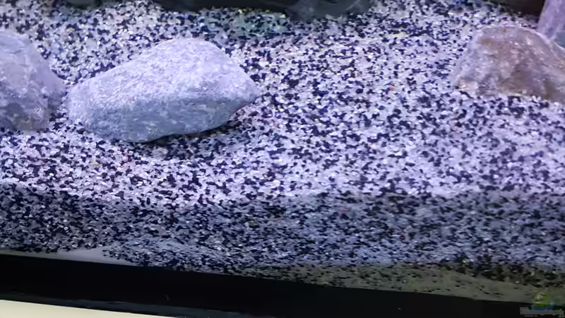 Sandgemisch beige/Schwarz 0.7-1.2 mm von Thomas0902 (27)