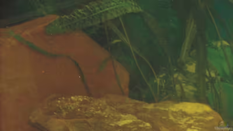 Sandgestein es sind ca 140 KG  von Andreas Rode (8)