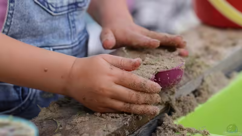 Sandkasten im eigenen Garten - Planung, Bau und Pflege für ein Paradies für Kinder