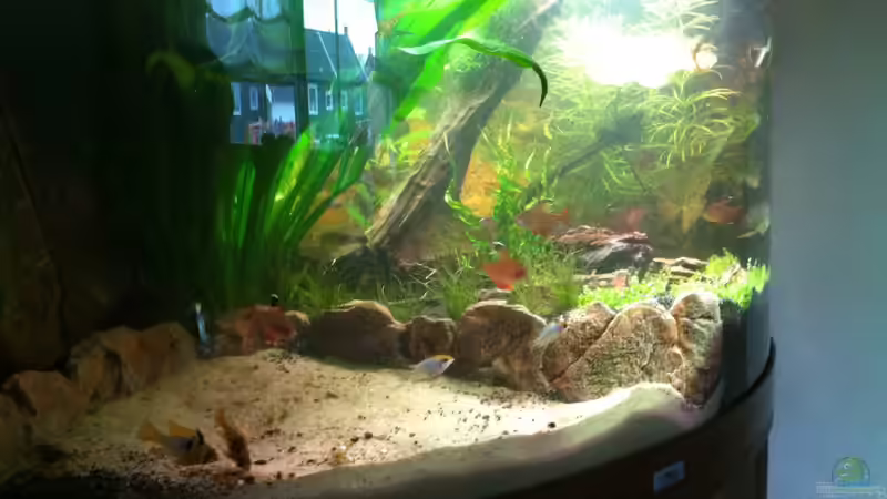 Sandkasten von Kasía (3)