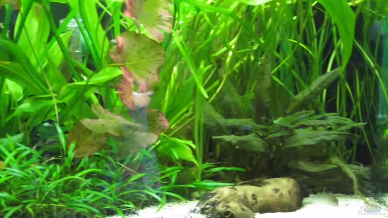 Sandkasten von Mieze2010 (2)