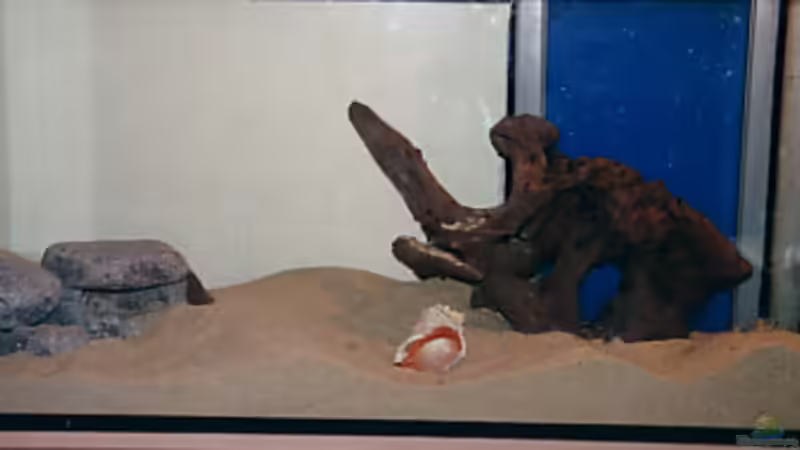 Sandkastenspiele. von Ingo Hornung (7)