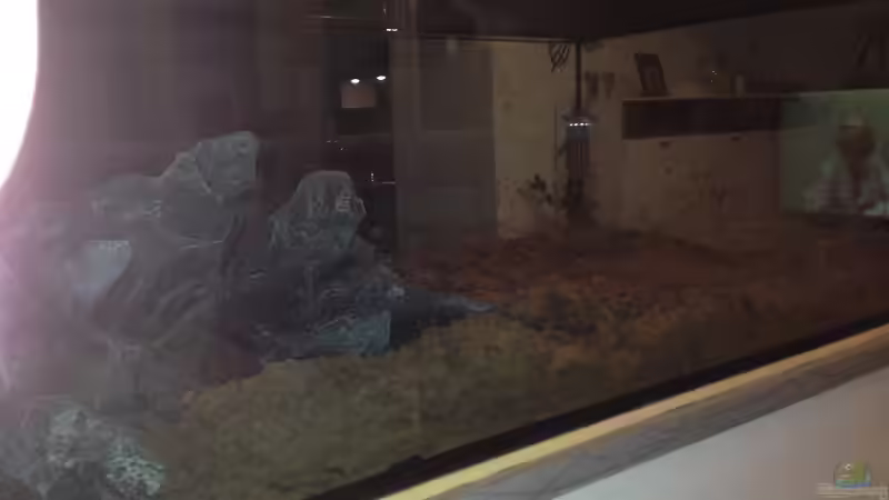 Sandmischung ist drin!! von Swenni (15)