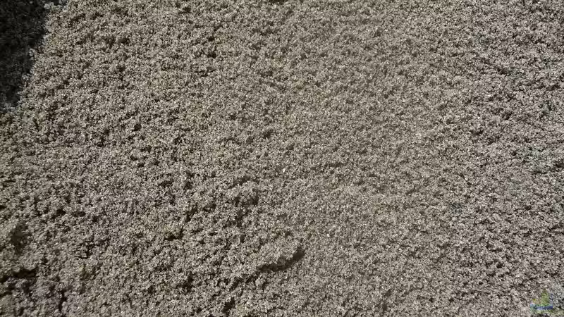 Sandmischung von DER YBBSTALER (44)