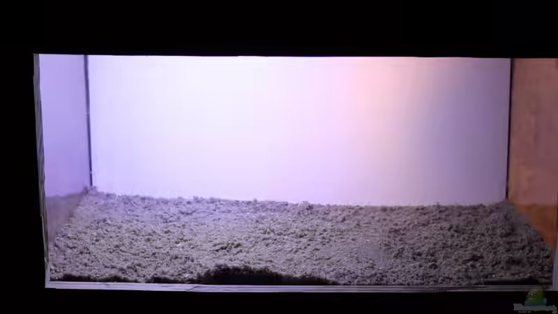 Sandschicht von Falk (5)