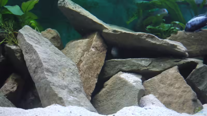 Sandsteinbruch von Volker Alms (19)