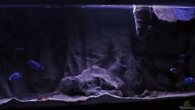 Sandstorm Tanzania von AjakAndi (2)