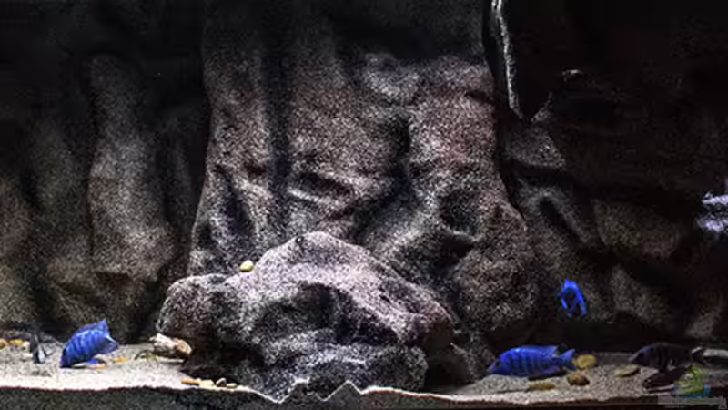 SandStorm `Tanzania`