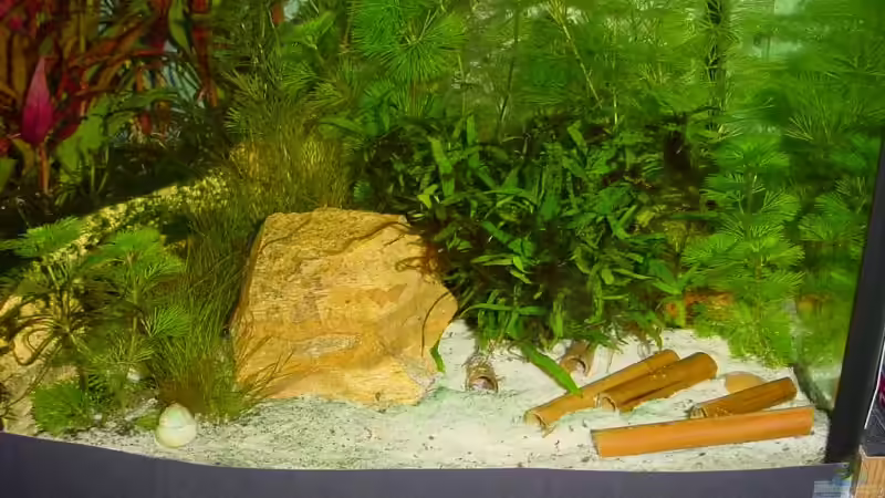 Sandzone am 06.11.2006 von Sabine Stark (24)