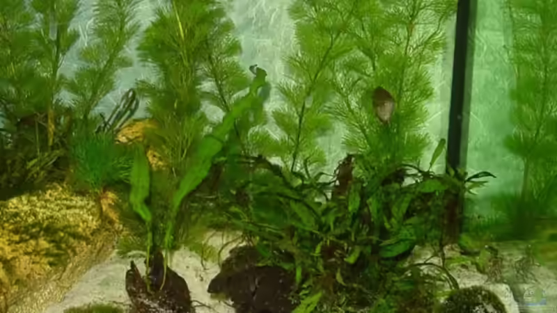 Sandzone am 08.10.2006 von Sabine Stark (19)